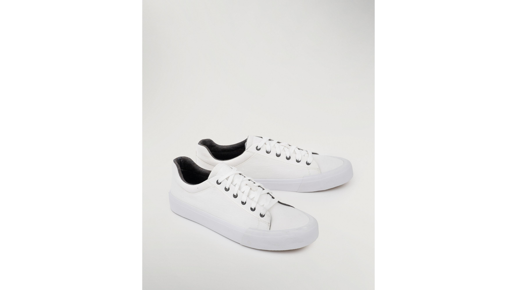 Frisco Sneakers